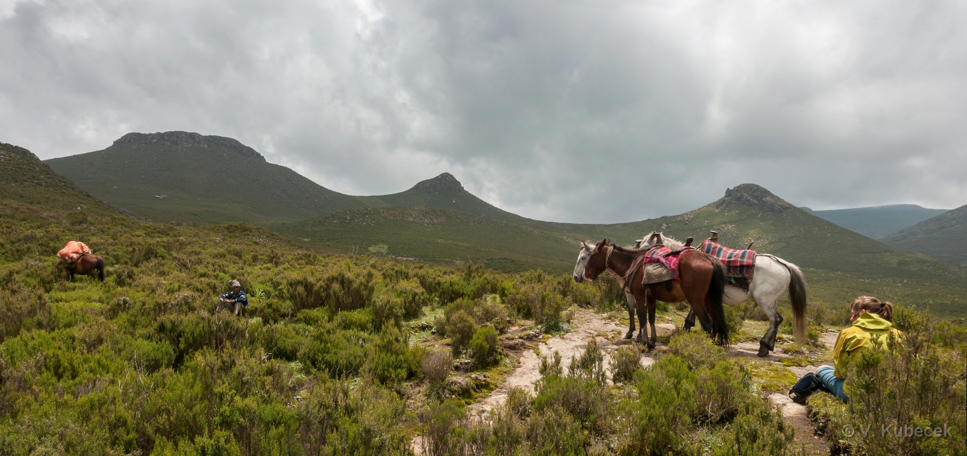 [Group 19]-DSC 6885 DSC 6886-2 images